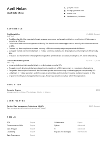 Chief Data Officer Resume Example