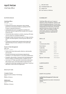 Chief Data Officer Resume Template #2