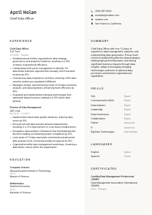 Chief Data Officer CV Template #2