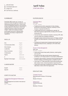 Chief Data Officer Resume Template #3