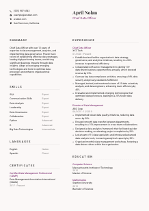 Chief Data Officer CV Template #3