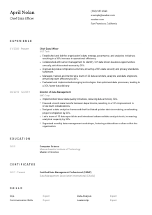 Chief Data Officer Resume Template #1