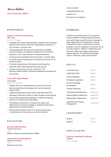 Chief Diversity Officer Resume Template #2