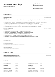 Chief Executive Officer Resume Example