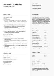 Chief Executive Officer CV Template #12