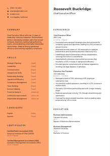 Chief Executive Officer CV Template #19