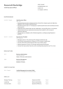 Chief Executive Officer CV Template #3
