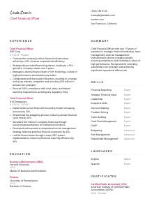 Chief Financial Officer Resume Template #11