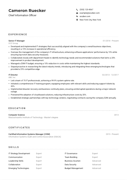 Chief Information Officer Resume Example