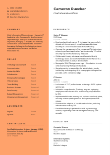 Chief Information Officer Resume Template #3