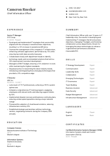 Chief Information Officer Resume Template #1