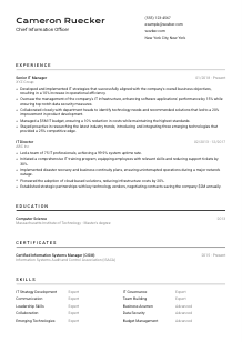 Chief Information Officer Resume Template #2