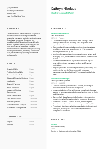 Chief Investment Officer CV Template #2