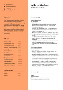 Chief Investment Officer CV Template #3