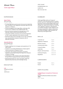 Chief Legal Officer CV Template #2