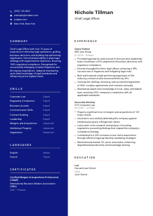 Chief Legal Officer CV Template #3