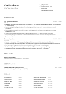Chief Operations Officer Resume Example
