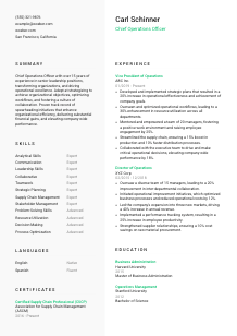 Chief Operations Officer Resume Template #2