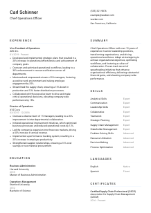 Chief Operations Officer Resume Template #1