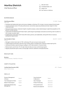 Chief Revenue Officer Resume Example