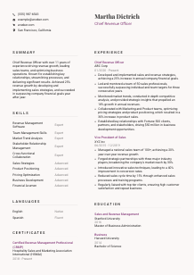 Chief Revenue Officer CV Template #3