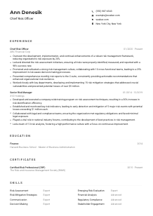 Chief Risk Officer Resume Example