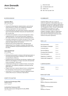 Chief Risk Officer Resume Template #2
