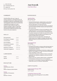 Chief Risk Officer Resume Template #3