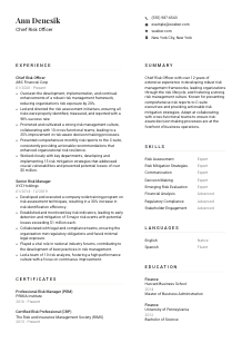 Chief Risk Officer Resume Template #1