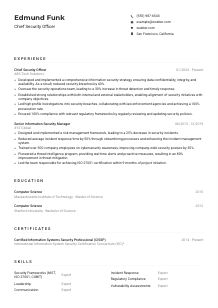 Chief Security Officer Resume Example