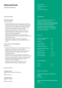 Chief Security Officer Resume Template #16