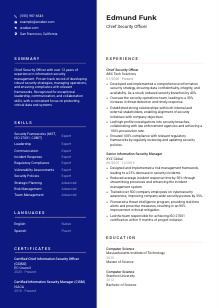 Chief Security Officer CV Template #21