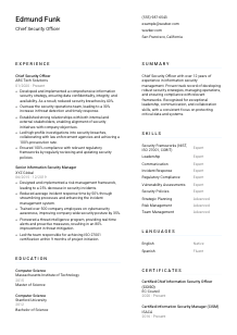 Chief Security Officer CV Template #5
