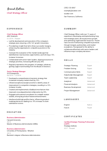 Chief Strategy Officer CV Template #2