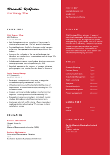 Chief Strategy Officer CV Template #3