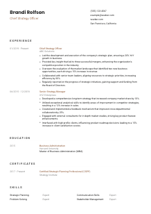 Chief Strategy Officer Resume Template #1