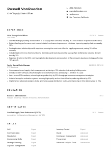 Chief Supply Chain Officer Resume Example