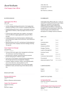 Chief Supply Chain Officer CV Template #2