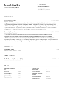 Chief Sustainability Officer Resume Example