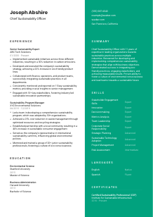 Chief Sustainability Officer Resume Template #2