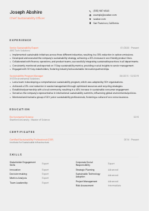 Chief Sustainability Officer Resume Template #3