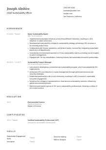 Chief Sustainability Officer Resume Template #1
