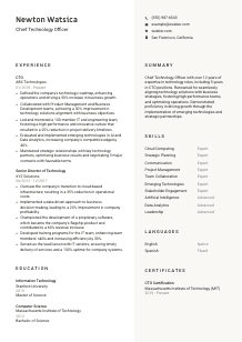 Chief Technology Officer Resume Template #2