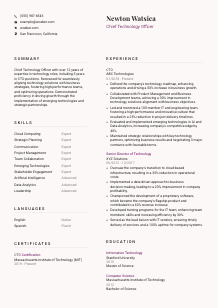 Chief Technology Officer Resume Template #3