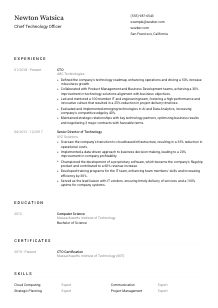 Chief Technology Officer Resume Template #1