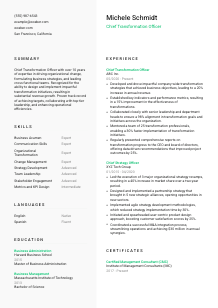 Chief Transformation Officer Resume Template #2