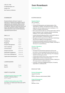 Executive Director CV Template #2