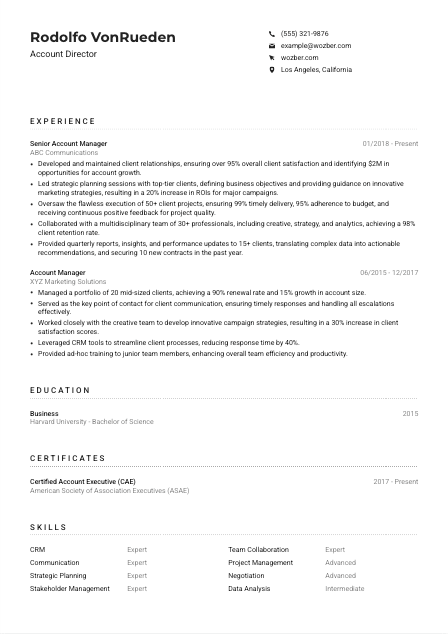 Account Director CV Example