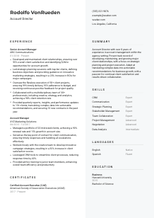 Account Director Resume Template #2