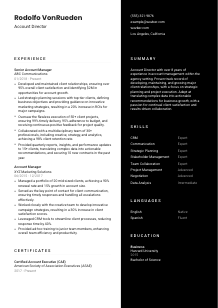 Account Director Resume Template #3